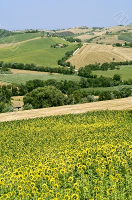 Macerata - Landscape