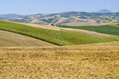 Marche - Landscape near Cingoli