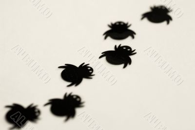 creepy crawly