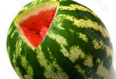 watermelon