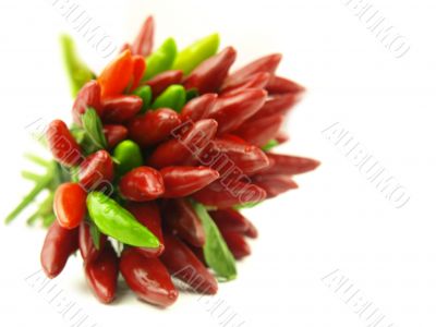 chili pepper and hot red pepper very close