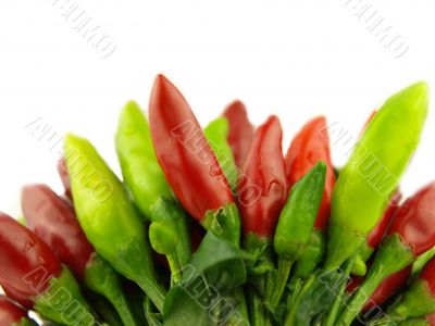chili pepper and hot red pepper very close