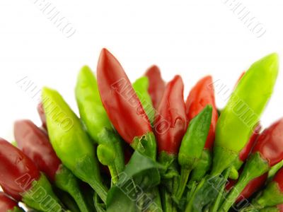 chili pepper and hot red pepper very close