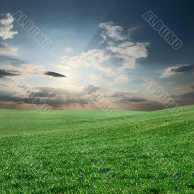 Field