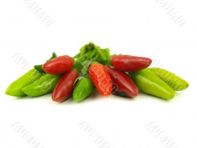 chili pepper and hot red pepper very close