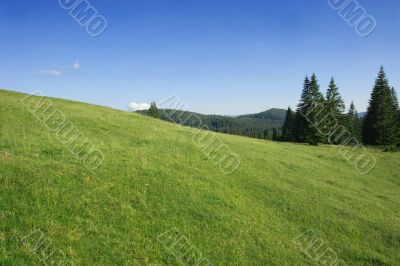 Field