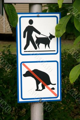 Dogs