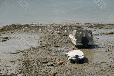 Low tide