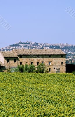 Old farmhouse and panorama of Osimo