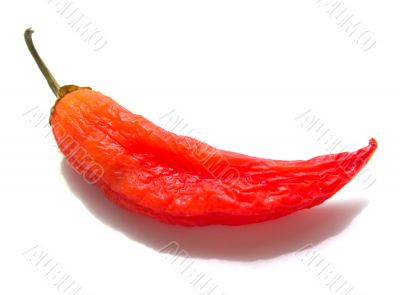 Red pepper