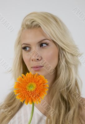close-up of gorgeous woman holding gerbera