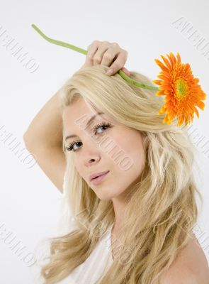 pretty young lady holding orange gerbera
