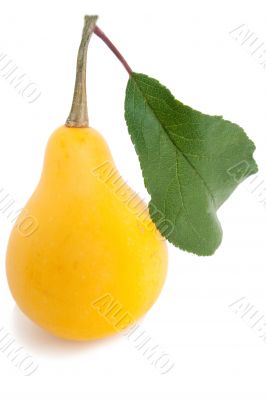 Pear and leaves