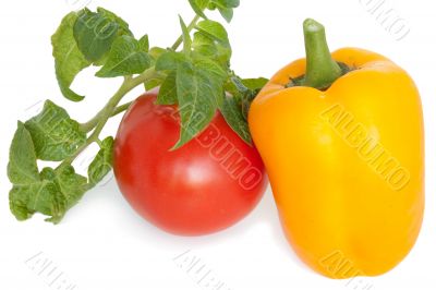 Tomato and pepper