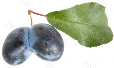 plums