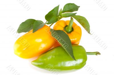 pepper