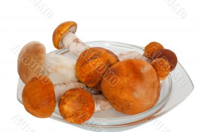 mushrooms
