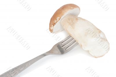 mushrooms