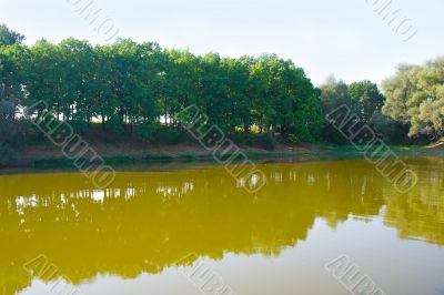 Summer landscape