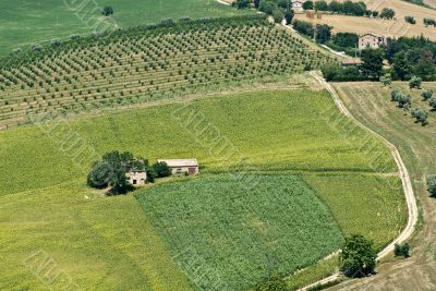 Marche - Landscape