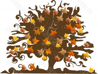 Autumnal tree