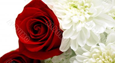 floral background