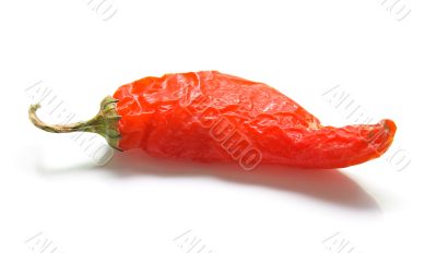 Red pepper 2