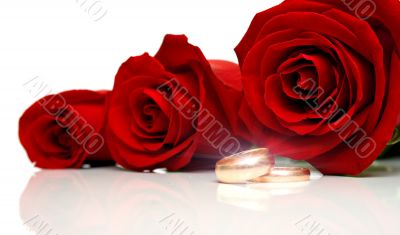 Wedding rings 2