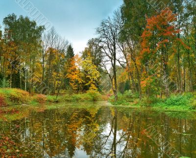 Autumn park with the pond