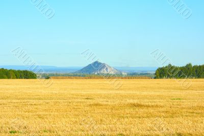 Autumn landscape
