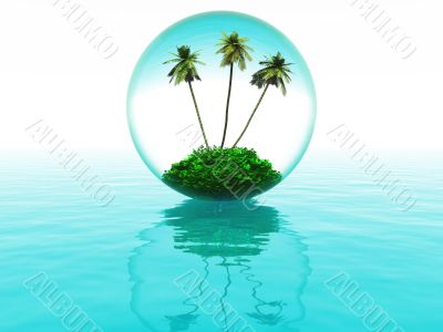 bubble with palm