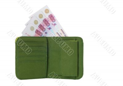 Wallet with Money