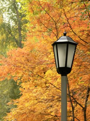 Lantern against autumn yellow trees