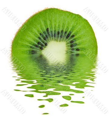 Kiwi on Water