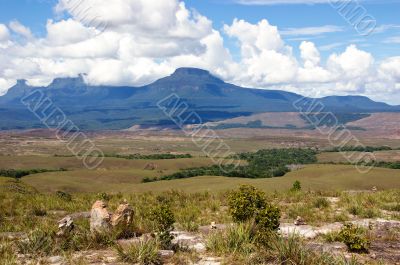 Tepui in Gran Sabana