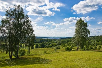 Trees and lake