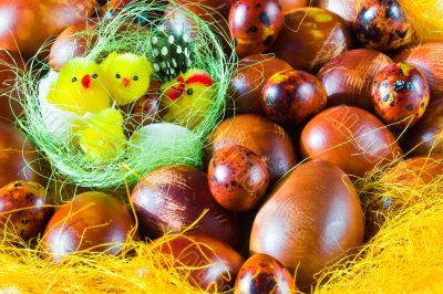 chicks in basket with easter eggs