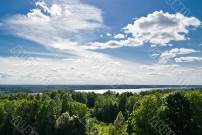 Wood lake ander blu sky