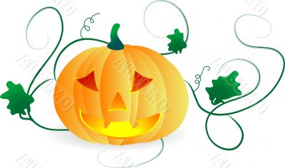 Pumpkin