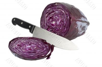 cabbage