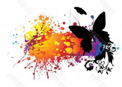 black butterfly