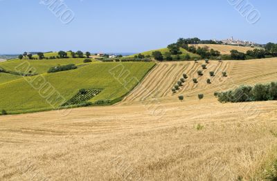 Marche - Landscape near Potenza Picena