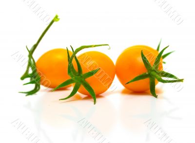 yellow tomatoes
