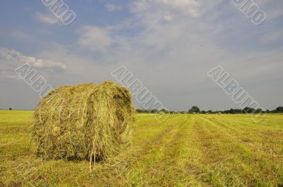 Haystack