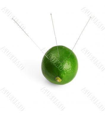 lime and needle