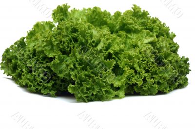 Green lettuce