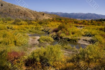 Fall Stream