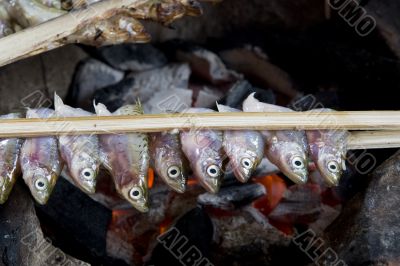Fish grill with coal