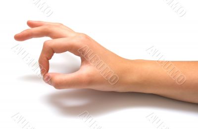 hand on white