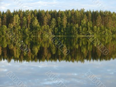 Forest Lake